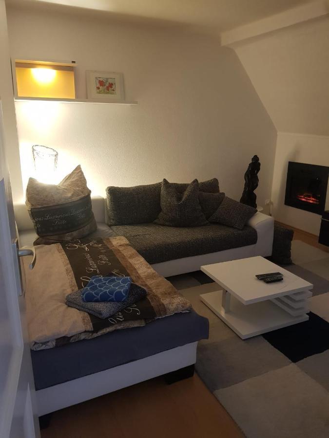 Apartment Am Suedpark Erfurt - Inkl Garten Mit Sitzlounge - Zentrumsnah Экстерьер фото