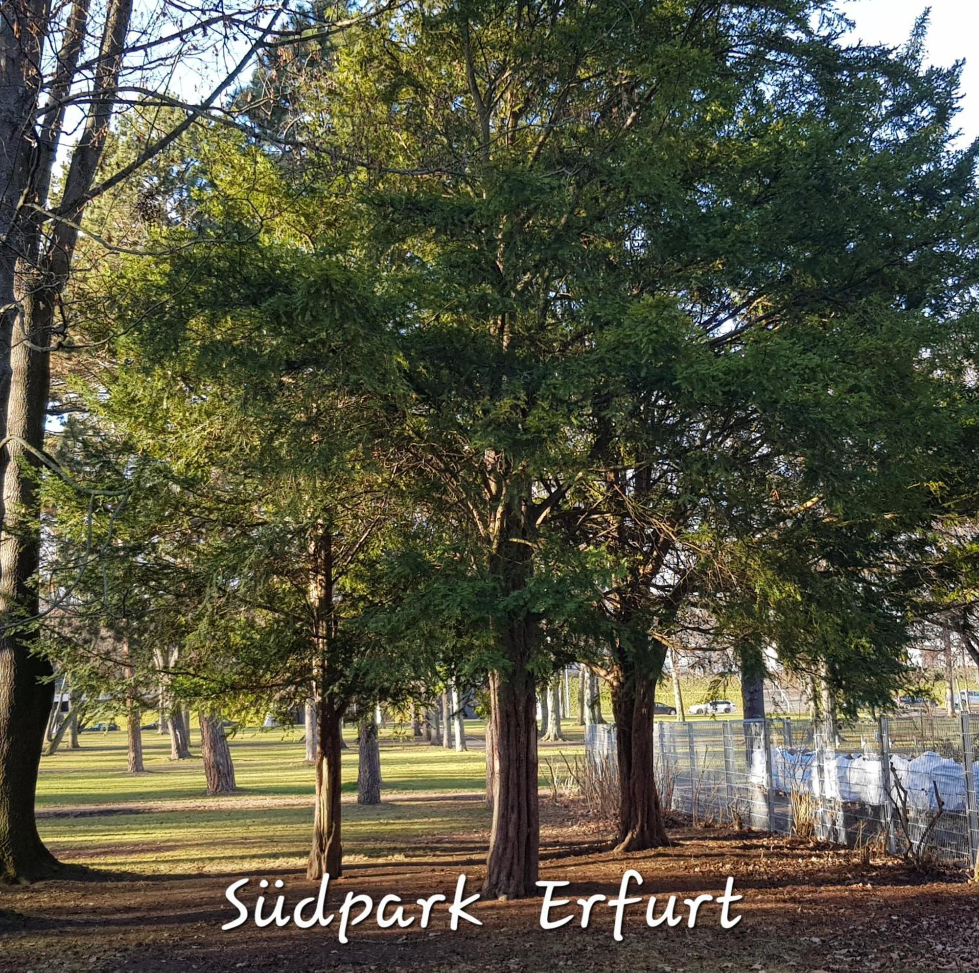Apartment Am Suedpark Erfurt - Inkl Garten Mit Sitzlounge - Zentrumsnah Экстерьер фото
